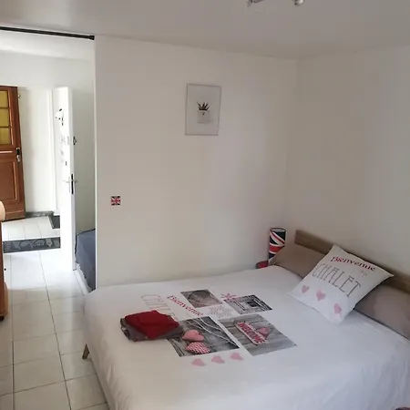 דירה Le Petit -appartement Proche De La Vieille , Du Centre Et Du Tram- Petit Dejeuner Offert לה מאנש