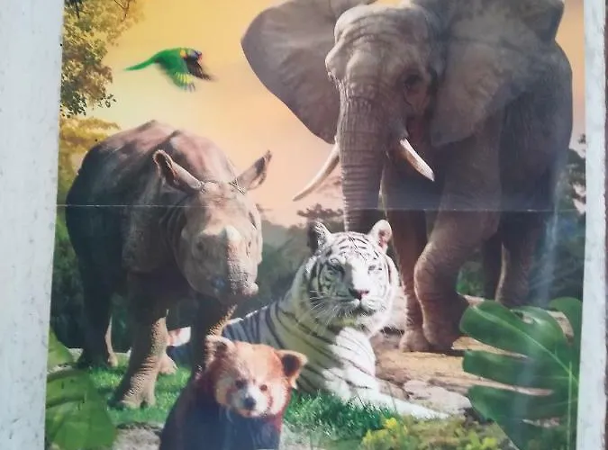 Lejlighed Le Petit -appartement Proche De La Vieille , Du Centre Et Du Tram- Petit Dejeuner Offert *